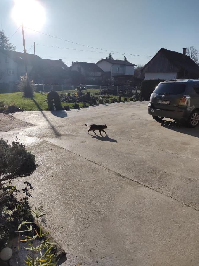 Villa Drenje Kljuc Brdovecki Bagian luar foto