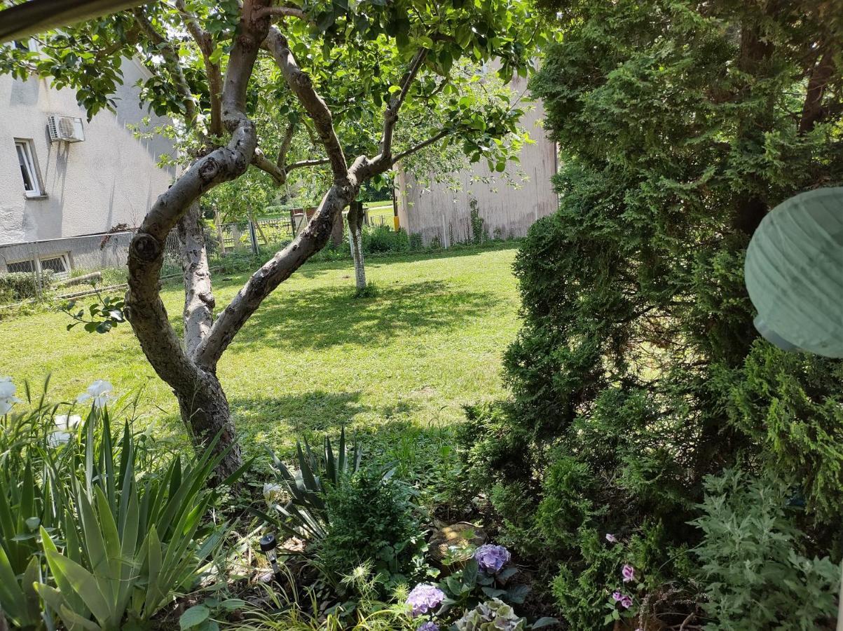 Villa Drenje Kljuc Brdovecki Bagian luar foto